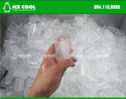 Đá viên tinh khiết ICE COOL