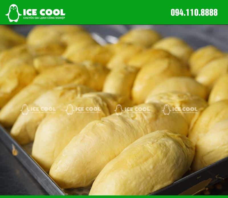 Sầu riêng cấp đông nhanh bằng máy cấp đông ICE COOL