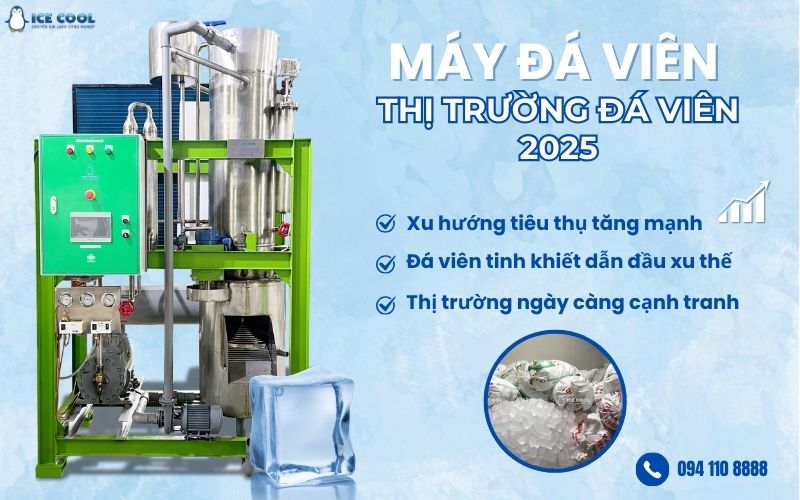 Thị trường đá viên 2025