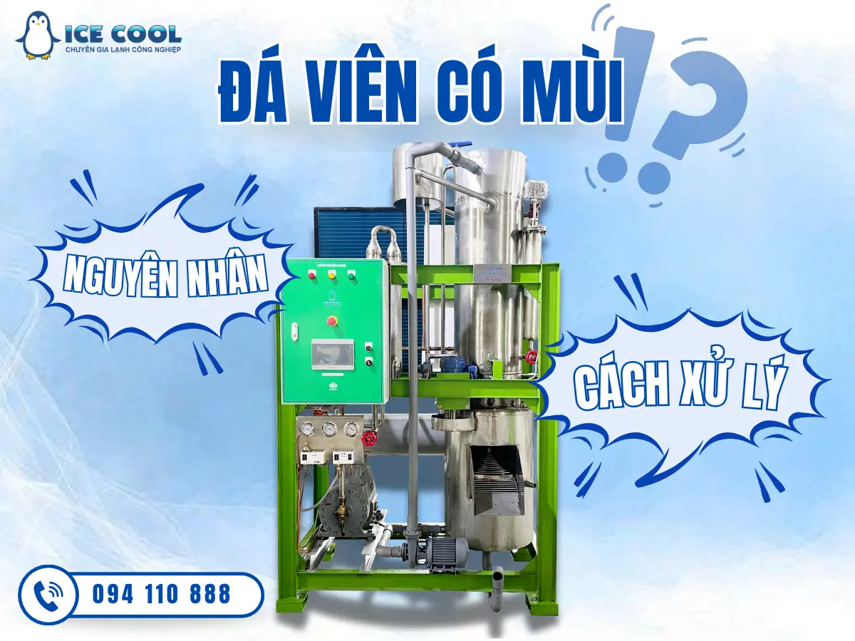 Tìm hiểu nguyên nhân và cách xử lý đá viên có mùi